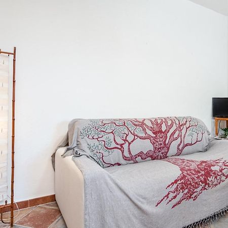 Holiday House Li Piri San Teodoro  Luaran gambar